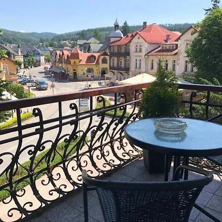 Przy Parku Zdrojowym *