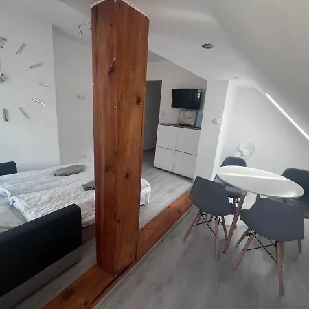 Przy Parku Zdrojowym 아파트 쿠도바-즈루이