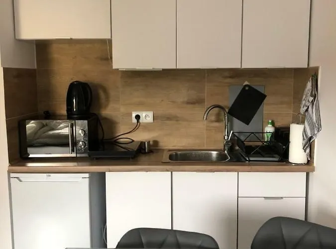 Przy Parku Zdrojowym Appartement